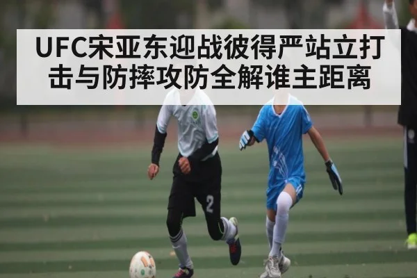 UFC宋亚东迎战彼得严站立打击与防摔攻防全解谁主距离