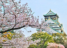 欧冠大小球分析-韩国冬训防疫仍是第一位 国安要求日常须佩戴口罩